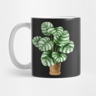 Calathea Orbifolia Plant Mug